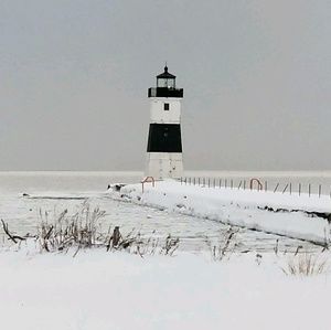 Meet your Posher, Shelley